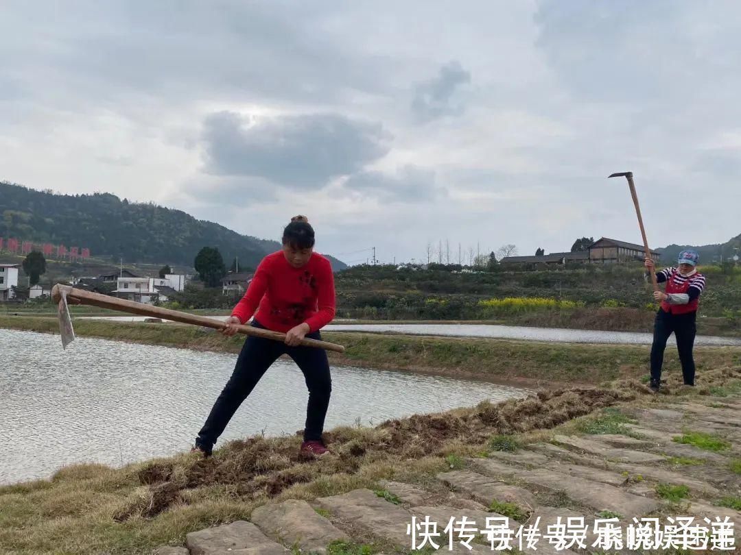 在乡下改造一个小院，种菜养花天天都是乡村田园梦，生活如此惬意