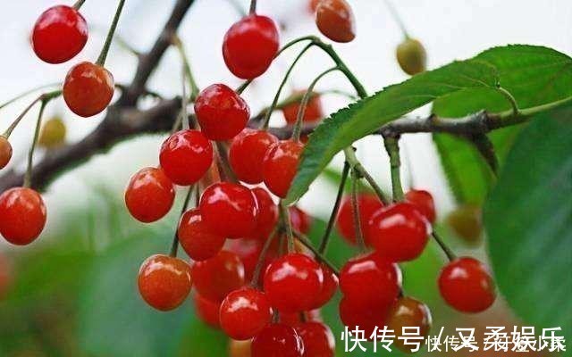 维生素b|藏在身边的“助眠王”,不是桂圆,饭后当零食吃,睡得踏实人精神