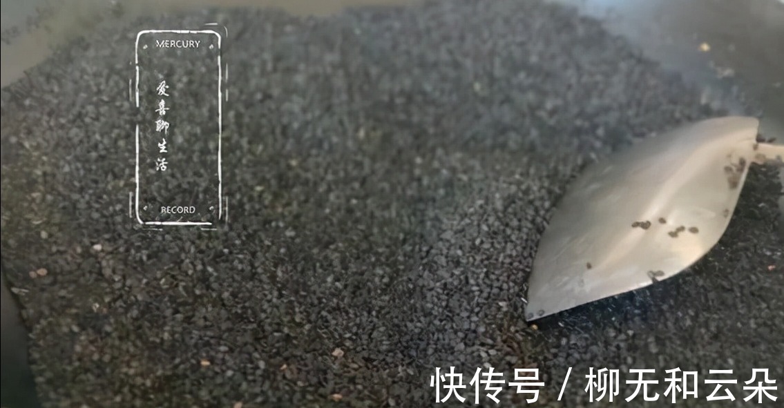 花生酥|入冬后给孩子做花生酥,滋补润肺健脑益智,一拌一煎3分钟学会!