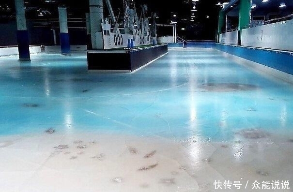家溜冰|7000条鱼尸体铺设的溜冰场火了!老板被网友劈头盖脸一顿臭骂