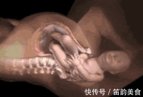 间隔时间|分娩痛得死去活来时宝宝在干嘛？暖哭！你真的不是一个人在战斗！