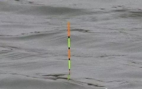 秋末钓鱼，钓“深”还是钓“浅”？选错就是浪费时间去喂鱼