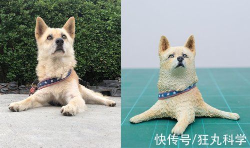 长颈狗|全球的猫都想屏蔽这个日本人,他到底做了多少沙雕手办?