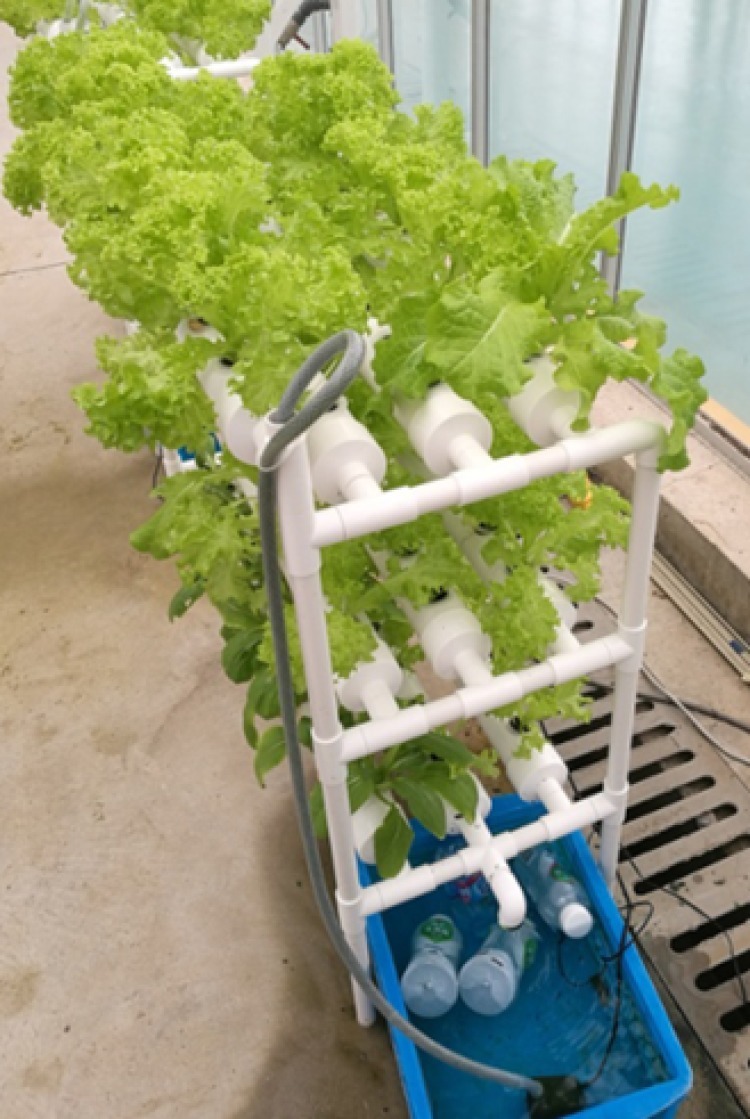 高清动漫《开局地摊卖大力》第21集完整版全集免费在线中国大陆国产动漫) - 动漫 - 英雄影院