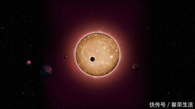 莱卡 上过太空的猴子再回到地球过得怎么样了