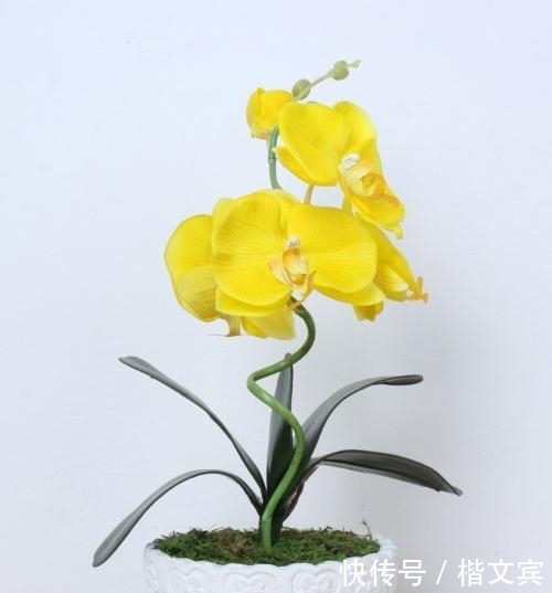 养花最容易犯的错误,不看会后悔的