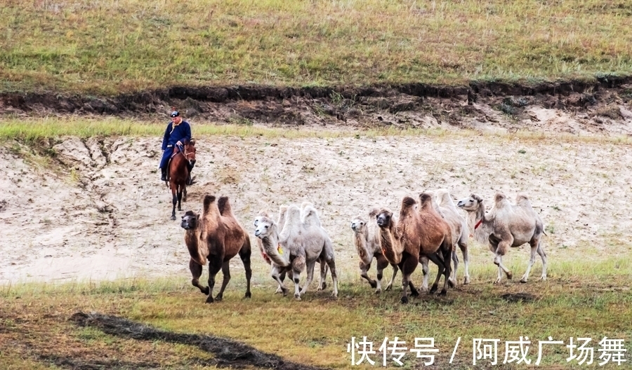 日落|中秋节在乌兰布统敖包吐后山，拍摄骆驼冲沙，遇见美丽的晚霞