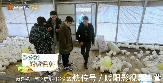 节目组|节目组失误关掉滤镜，王源满脸痘颜值大跌，杨超越皮肤不如董力！