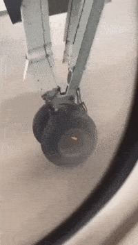 |搞笑GIF:看这切蛋糕的操作,强迫症人群看了会很舒服