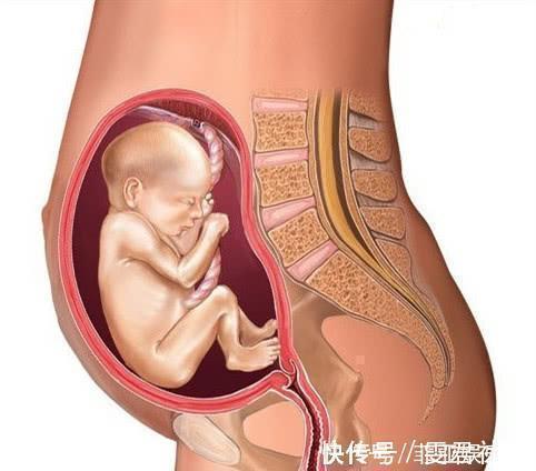 下腹部|孕晚期，孕妇有几种感受，说明胎儿已顺利入盆，附胎儿入盆图解