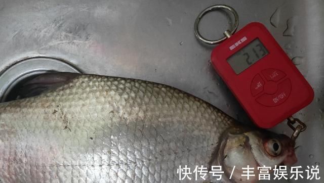 钓友|野钓鳊鱼时的实践技巧,老钓友详细讲解,非常实用