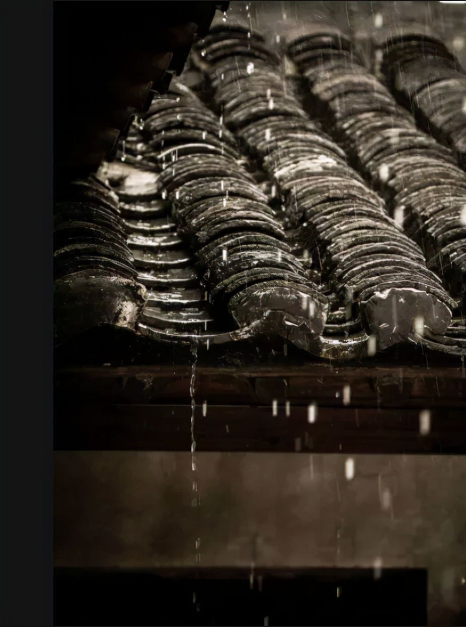 林父$富家女林淑华执意要嫁穷小子,林父发怒大骂:养你不如一条狗