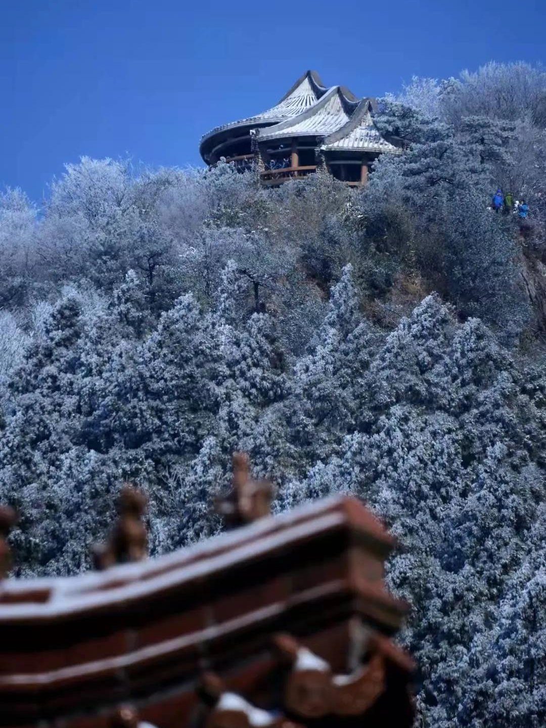 天台|天台绝美雾凇打卡地！这里有着南方人对冰雪的天然向往……