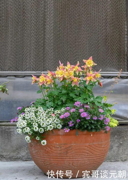 7个绝美花园,个个美炸了天,等有钱了我也要建一个