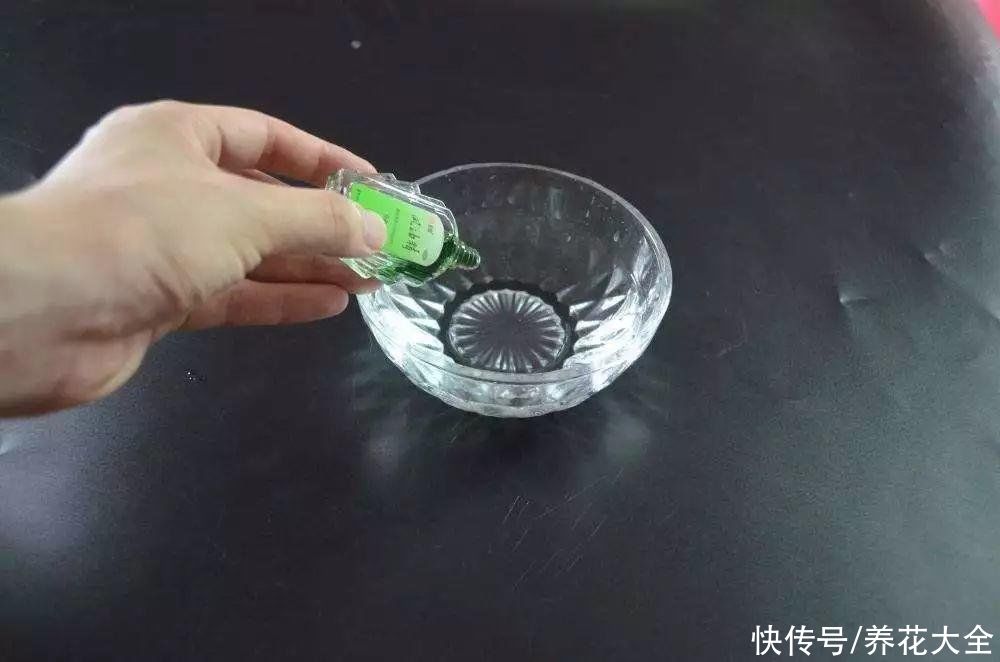 药片养花只知道阿司匹林？这些药养花效果也很好，过期别再扔了