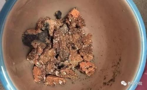 家中养花，盆底垫几种小东西，盆土疏松透气，防止烂根