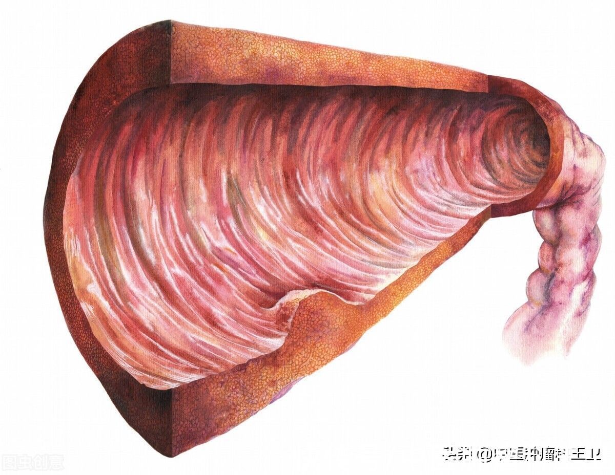 癌变|胃长了息肉怎么办？会癌变吗？中医提示：不用太担心，视情况而定