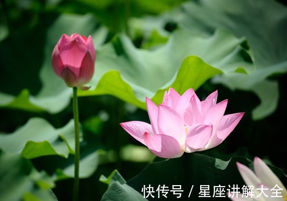 财运|11月26日开始，运势节节高，4属相财运旺盛，生活金玉满堂