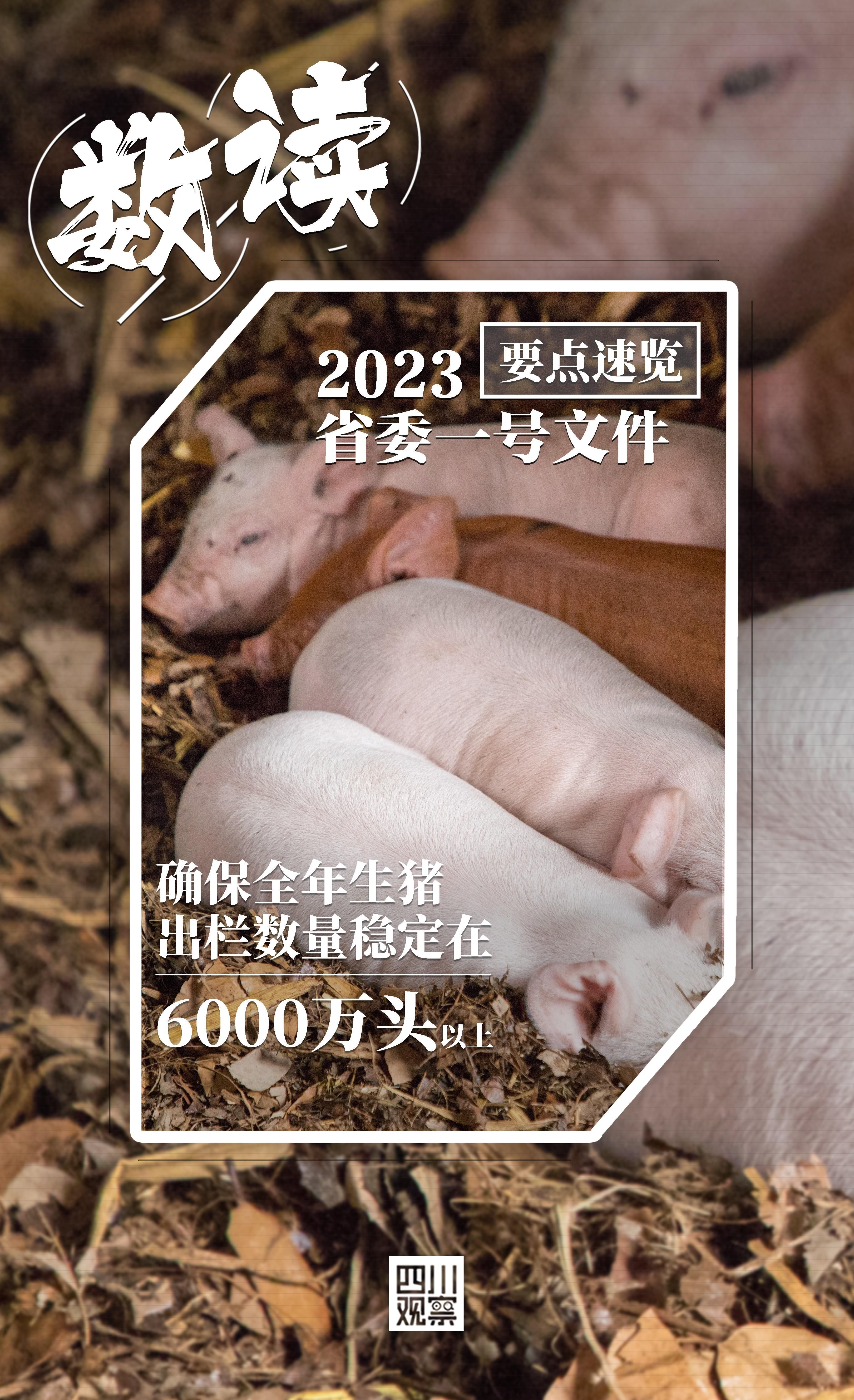 要点速览 ！ “数”读2023年四川省委一号文件