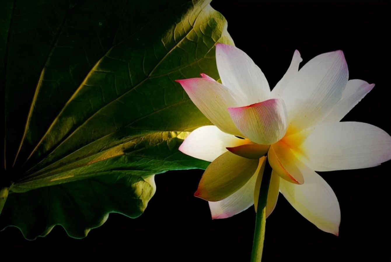 道理@一个人欲成大事,请记住这三个道理,少走弯路