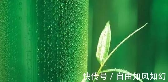 海日!满满全是憧憬和希望的10大诗篇,“江山代有才人出”仅列第六