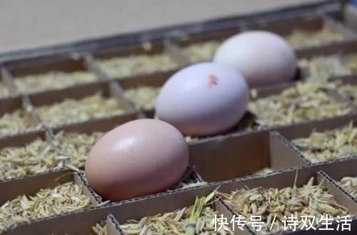陶缸|鸡蛋买多了，别放冰箱保存，教你4个土方法，保鲜3个月，很管用！