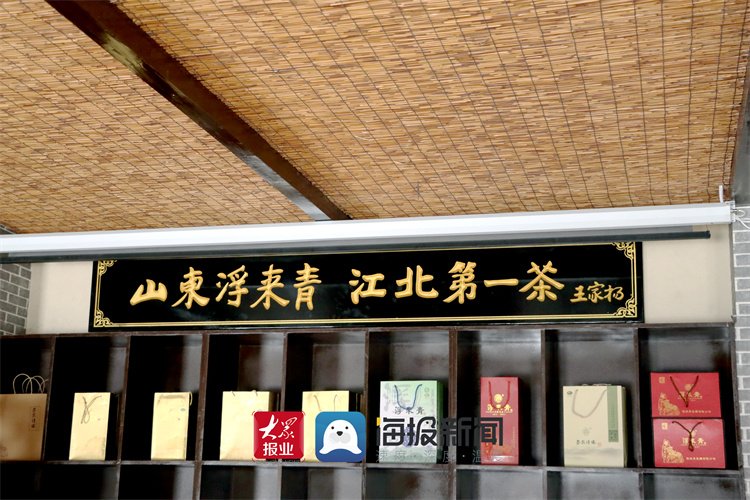 古城|“紫砂文化”入驻“茶旅情缘”，活力绿色点亮莒国古城