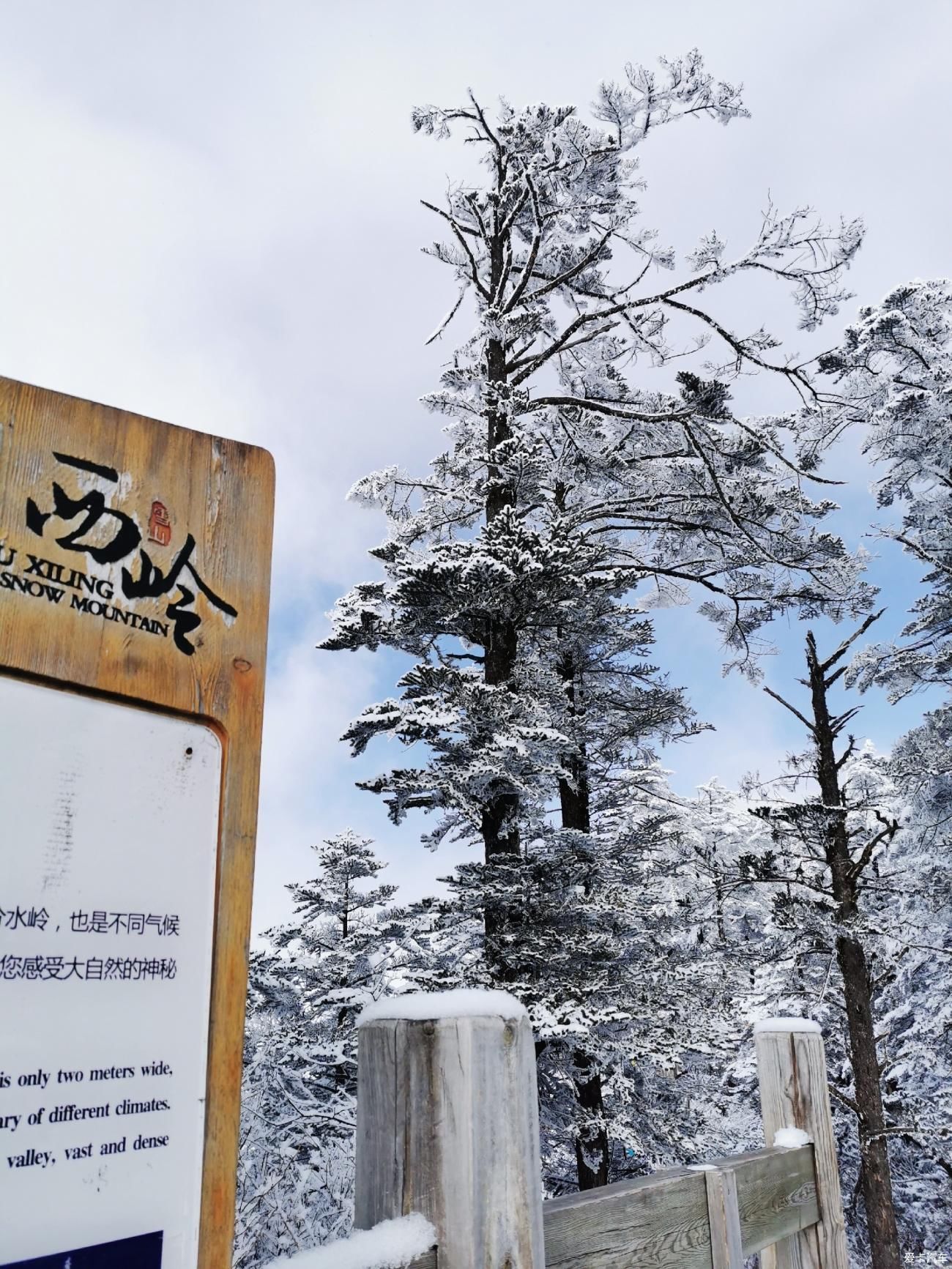 西岭雪山犹如仙境