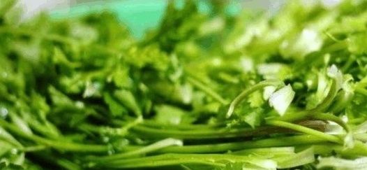 饺子馅|饺子馅包出来不够香因为你忘了加这个步骤！