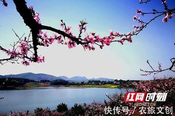 常德市|常德：休闲农业+乡村旅游 奏响乡村振兴“田园交响曲”