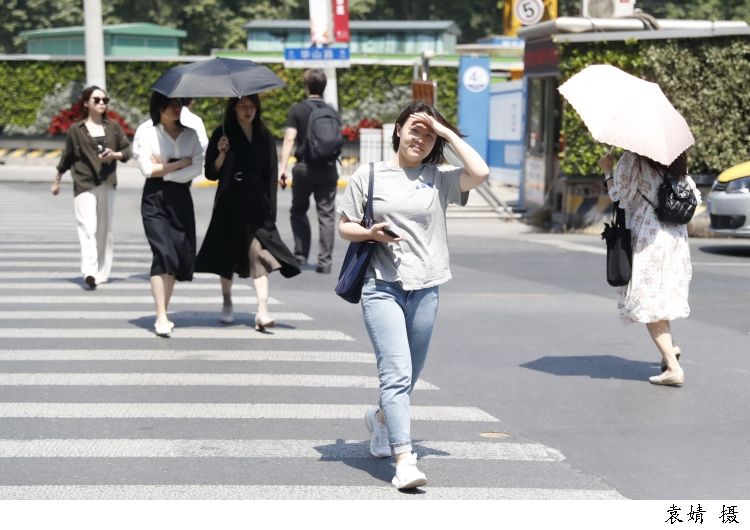 代茶饮|今日立秋丨想要“养收”好，这些调理不可少