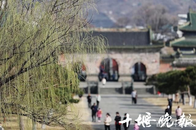 老年|春风骀荡！好一幅十堰版春日山居图