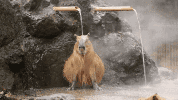 毛巾|10个堪比“毁容”的洗脸习惯，数一数你中了几枪？