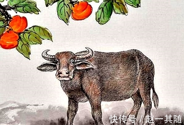 桃花|进入10月末,霉运走开,横财必得,和幸福作伴的3大属相