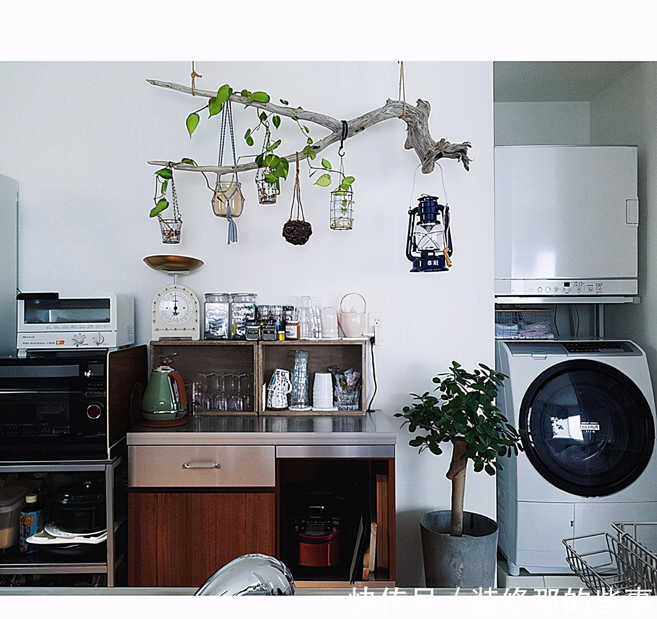 小两口之家,全屋布满绿植鲜花,把生活过成了诗,太美太治愈了