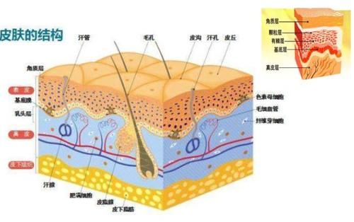 护肤品|都怀孕了，还想着瞎涂瞎抹？想美想疯了吧！不怕烂脸伤胎吗？