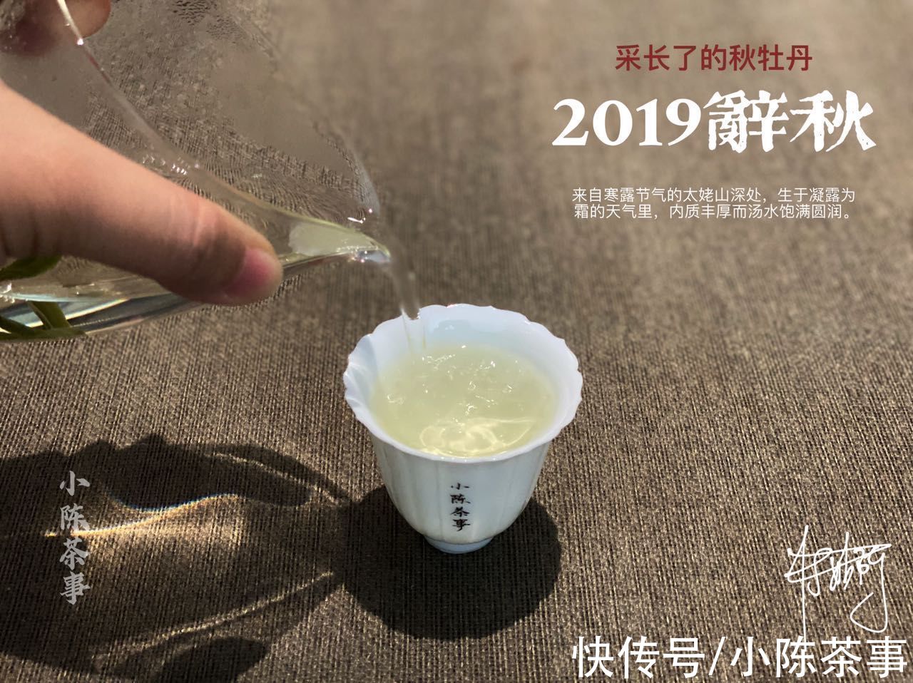 莞莞类卿|想存些白茶，但家里没有纸箱，用塑料箱、收纳箱、乐扣箱可以吗？