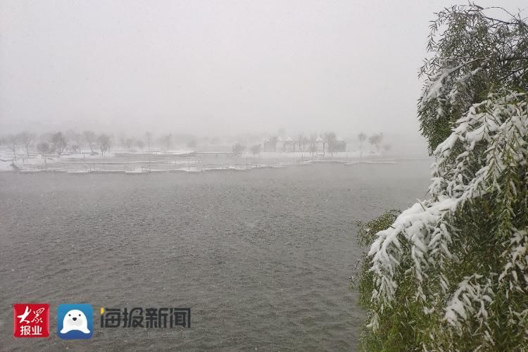 雪景|立冬至瑞雪来 滨州各县市区换素颜