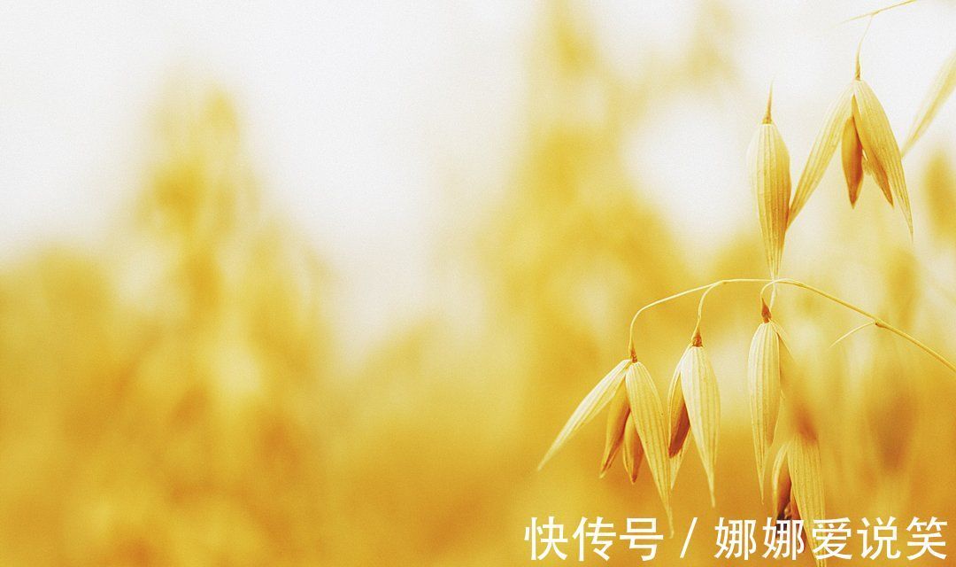 口臭|红薯和它同煮,是天然“玻尿酸”,常喝排出黑臭宿便,口臭也没了