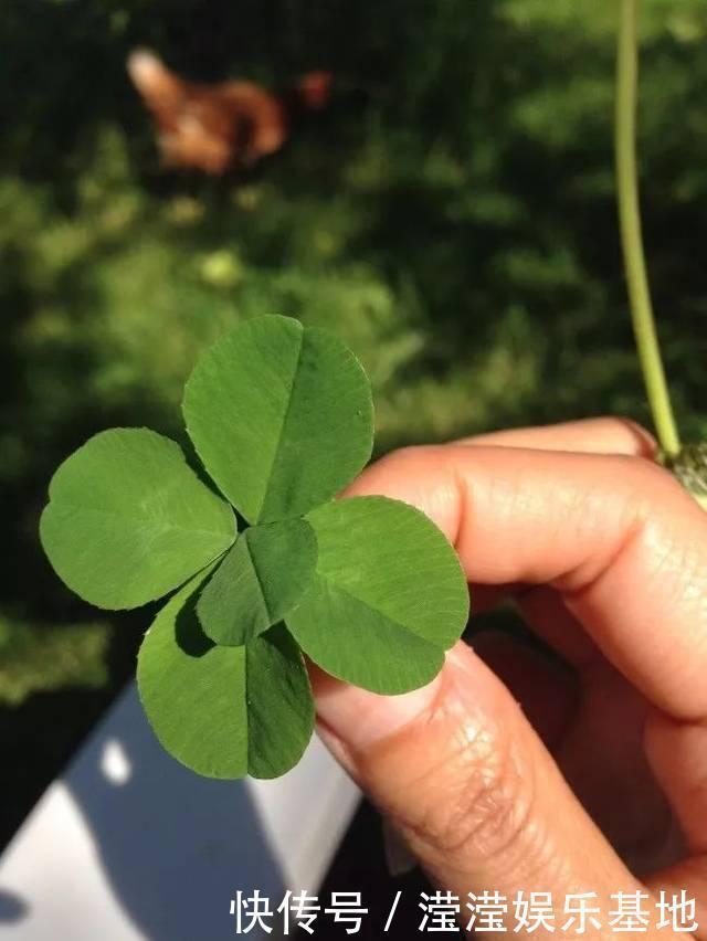 幸运女神|这样逆天的运气！肯定是上辈子拯救了世界吧！