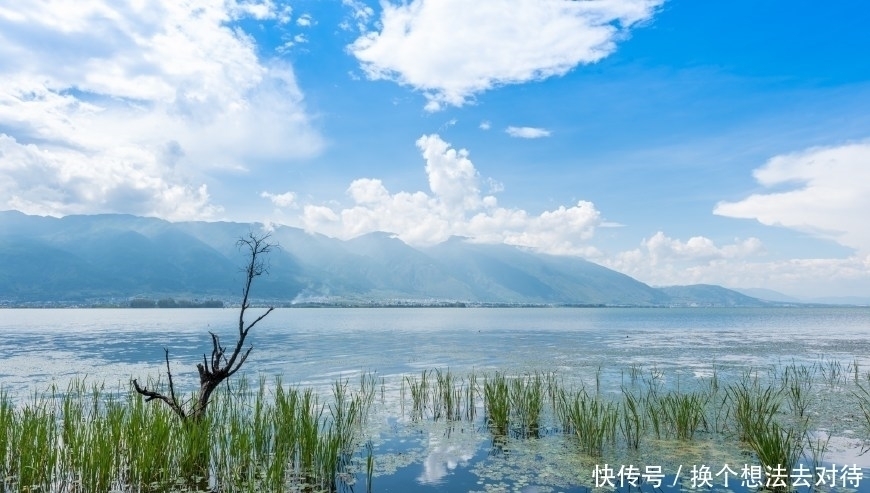中年|洱海边最美的免费公园,非这座公园莫属