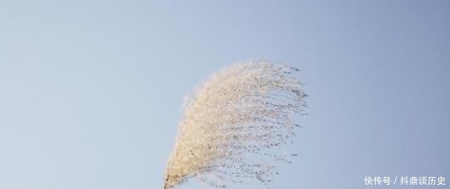 败军|韩信为何以师尊之礼对待败军谋士?精谋巧略,毁于一个老好人?