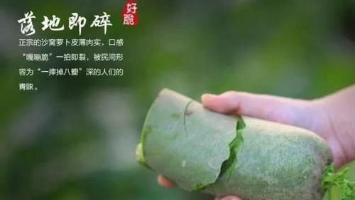 老年人科学的饮食搭配，有益于推迟衰老，健康长寿