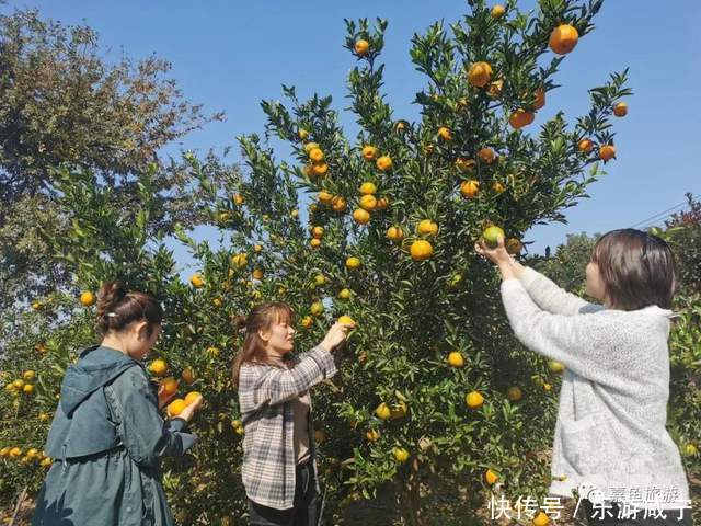 惠游|上周，冷空气难阻13万游客花式体验惠游活动！