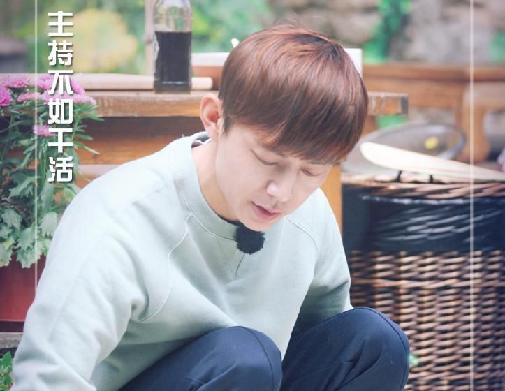 戲劇新生活|還沒等來《向往5》,就等來黃磊何炅再次聯(lián)手,打造的這檔新綜藝