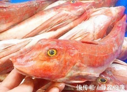 海鲜市场这4种鱼，别看不起眼，都是人工捕捞，无法养殖，放心买