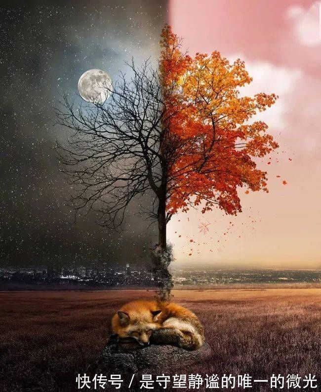 宇宙!视觉我的宇宙为你藏了无数个浪漫星球。