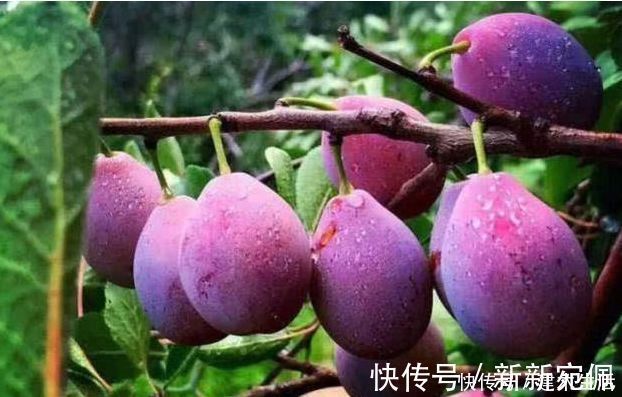 香蕉|女性不想老太快,推荐三种食物,常吃减肥瘦身,还能延缓衰老