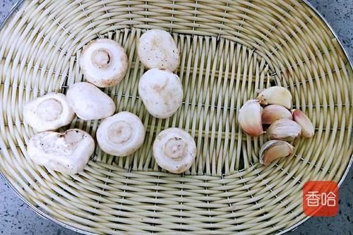 它被誉为地里生长的“天然青霉素”，隔三岔五吃一点，增强免疫力