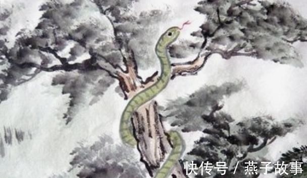 甜蜜蜜|老一辈人常说生肖蛇只要度过“2难”,后半生定能咸鱼翻身